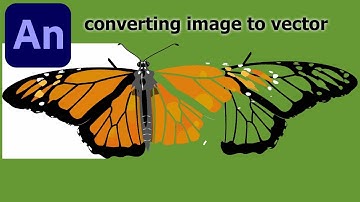 How to convert image into vector   Bitmap to vector easy conversion Adobe Animate