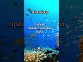 Мотивирующие цитаты для каждого дня недели