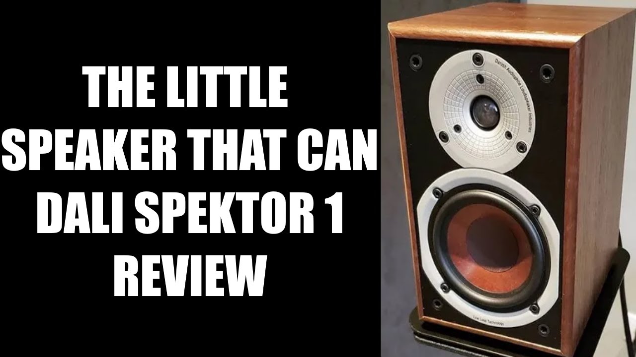 Dali Spektor 1: Budget Speaker with Big Sound