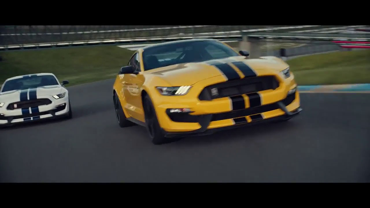 ford-mustang-shelby-gt350-racing-nice-sound-youtube
