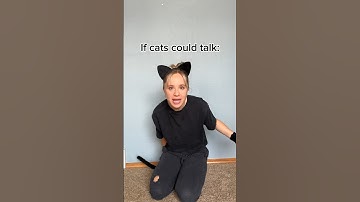 If cats could talk pt. 2