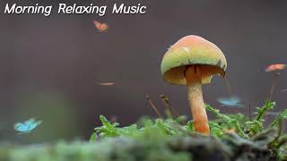 Relaxing Morning Music - Gentle Piano Music That Relaxes His Head  Great natural sound