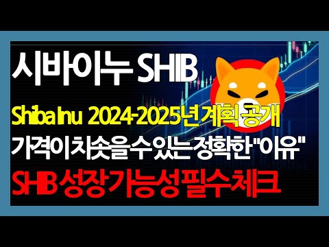   시바이누 SHIB Shiba Inu 2024 2025년 계획 공개 가격이 치솟을 수 있는 정확한 이유 SHIB 성장 가능성 필수 체크