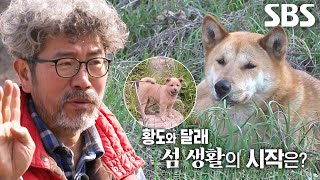 힘든 황도 생활 견디게 해준 무인도 섬총사의 특별한 인연★