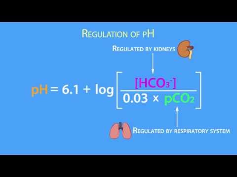 એસિડ-બેઝ રેગ્યુલેશન: હેન્ડરસન હેસલબેક સમીકરણ