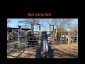 Bull riding fails