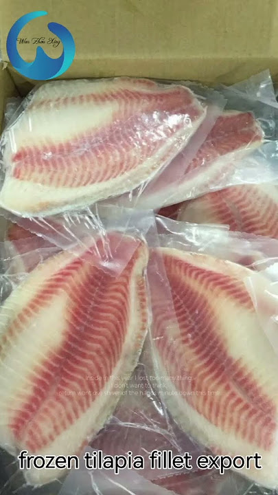 Available all size ,frozen tilapia fillets ,Orgin China,natural flavor,supplier,export,widely eaten