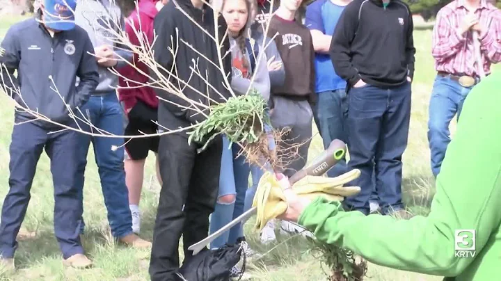 Students clear noxious weeds near Augusta