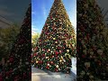 Its beginning to look a lot like christmas    christmas 2023 irvinespectrum irvine cali