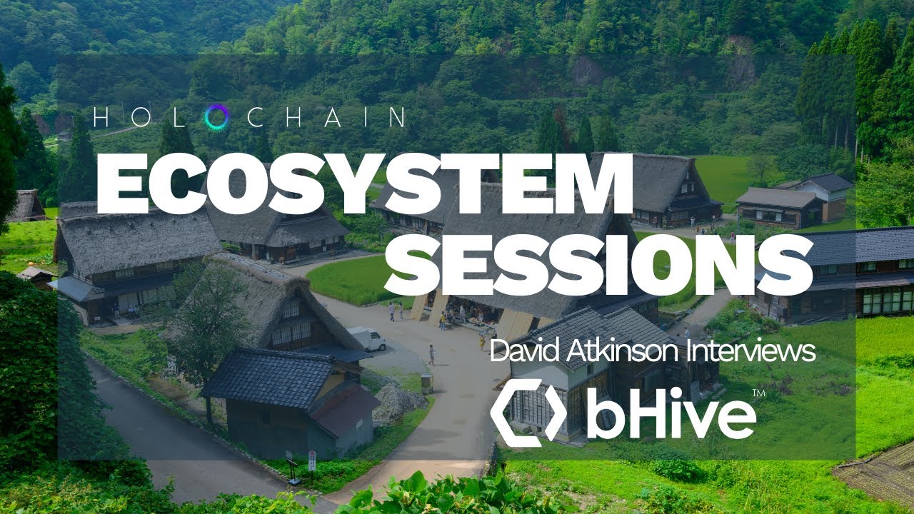 Holochain Ecosystem Session with bhive