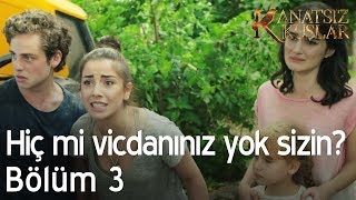 Hiç mi vicdanınız yok sizin? - Kanatsız Kuşlar 3. Bölüm