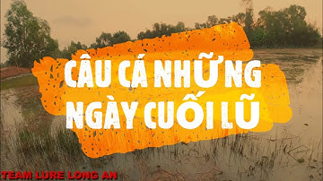 #42 TEAM LURE LONG AN - CÂU CÁ NHỮNG NGÀY CUỐI MÙA LŨ 2020