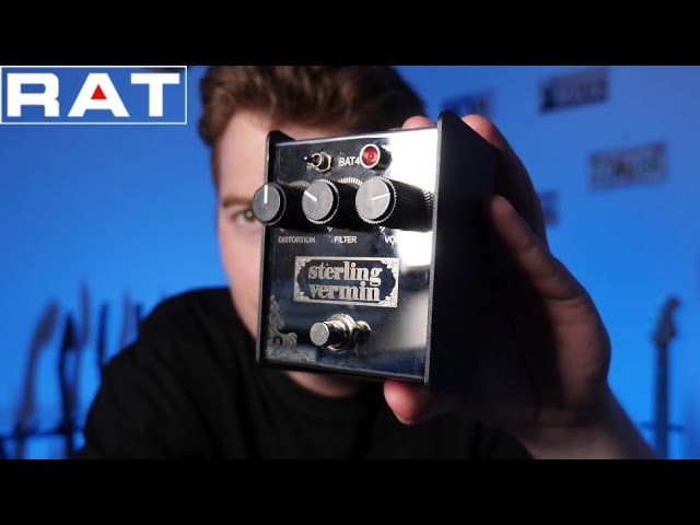 proco-rat2-a.jpg