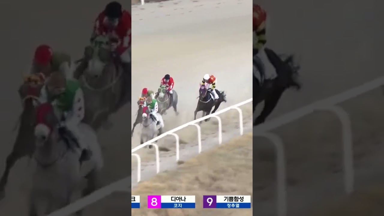 49배5-7 공개된번호 경마는역시 배당마지