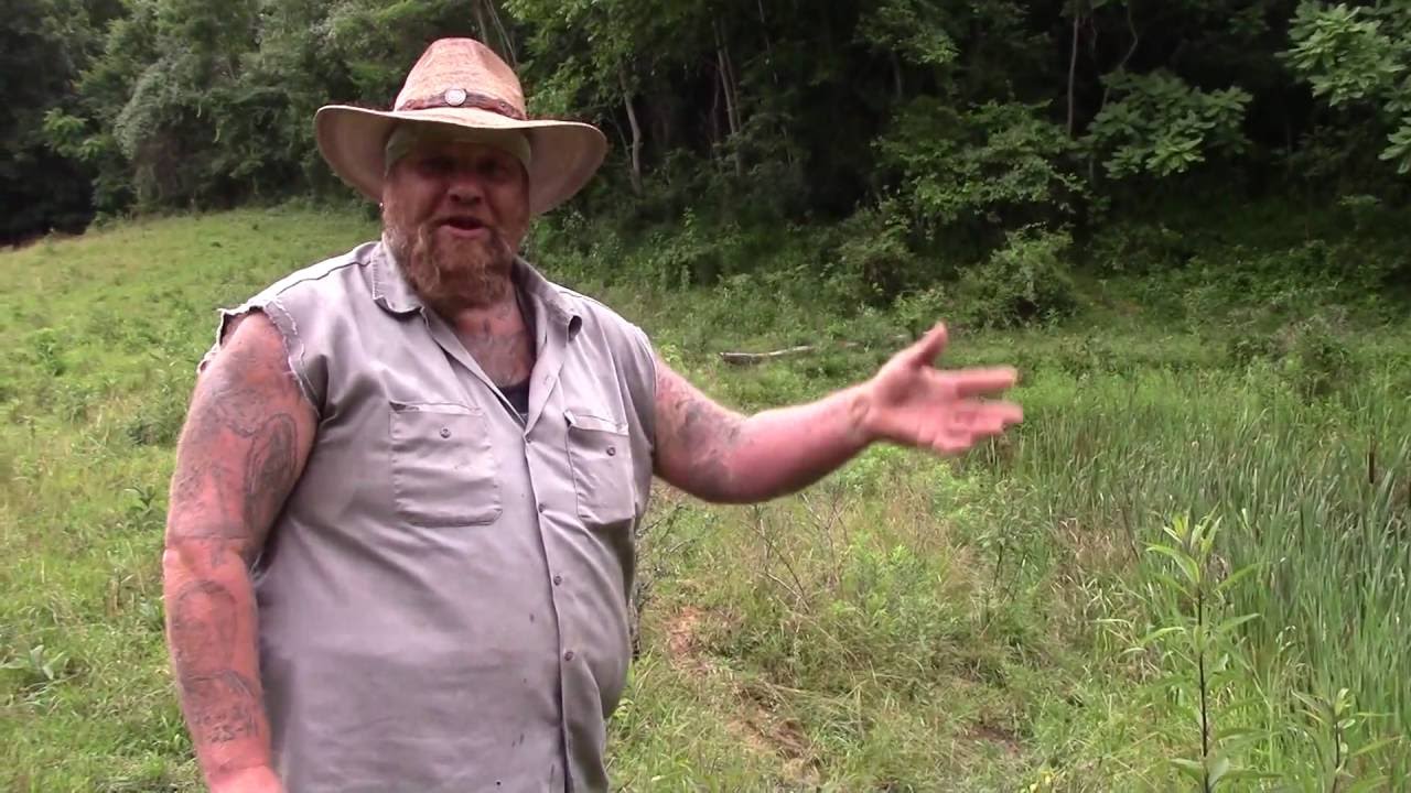 Setting Some Turtle Lines - YouTube