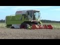 CLAAS DOMINATOR 76 & IN DE WINTERTARWE