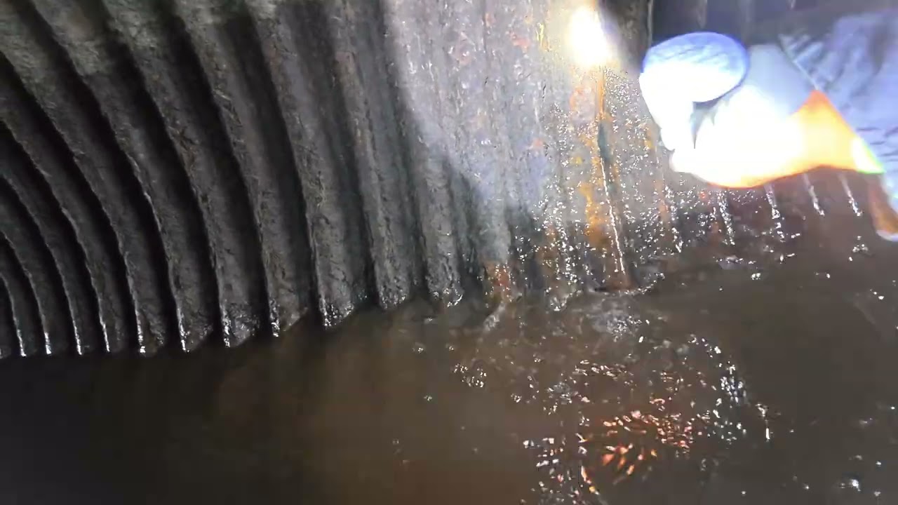 1006 Seneca Springs 1 21 26   4K