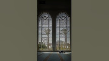 ﴿وَأَرادوا بِهِ كَيدًا فَجَعَلناهُمُ الأَخسَرينَ﴾ [سورة الأنبياء] الشيخ محمد صديق المنشاوي #quran