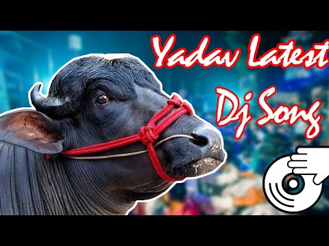 Sadar Sayyata || 2019 Latest డిజె సాంగ్ || Yadav New Songs || Ðĵ Shiva Smiley Remix ✪