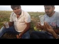 Desi boys drinking desi daru  desi daru  bihari boys drinking  funny vines