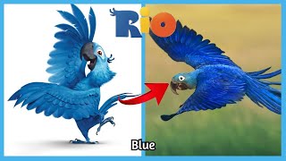Rio 2 💥 2014 Characters In Real Life 2022