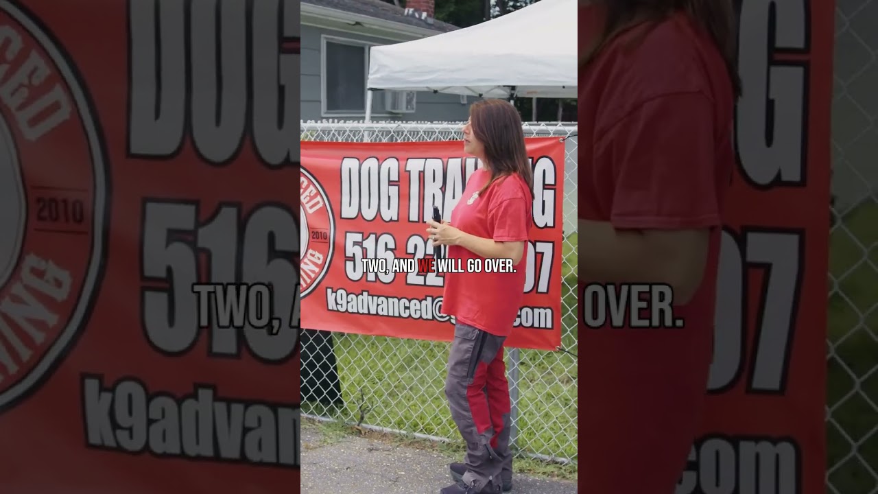 Got a new puppy and feel like you brought home a piranha instead? 😅