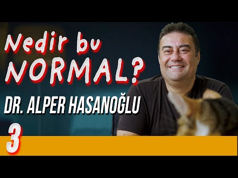 Nedir Bu Normal? - Delirmek Normaldir - Dr. Alper Hasanoğlu - B03