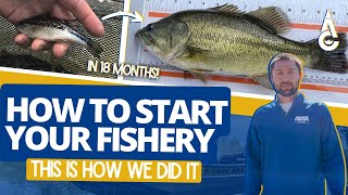 We Corrected Our Fishery In Under 3 Years | Creating The Perfect Family Fishing Pond | A Timeline