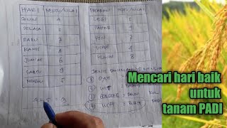 Mencari hari baik untuk tanam padi atau menanam