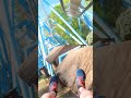 Riding ALPENGEIST in under 60 seconds