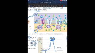 선주고등학교 생명과학 1 흥분 전도(분극, 탈분극, 재분극, 이온의 재배치) 디딤영상