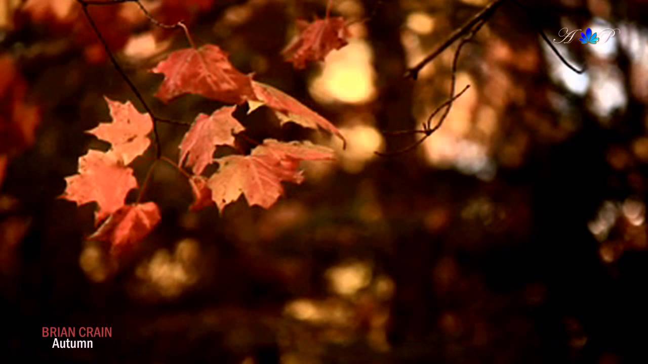 ✿ ♡ ✿ BRIAN CRAIN - Autumn - YouTube