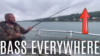 BASS FISHING on BANGOR PIER! U.K. Sea Fishing 🎣 🦈