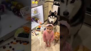 Bide Suçu Birbirine Atıyorlar