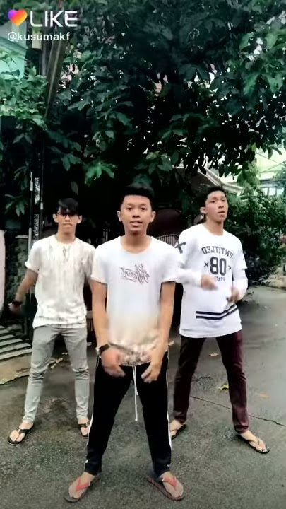 Video like paulus krawin