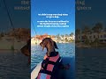 Proof life doesn’t have to shrink when having a dog🐾 #dog #boatlofe #doglife
