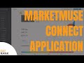 MarketMuse Connect Application | 🔎Internal Linking Strategy🔍