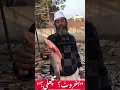 Akhrot Kharni Fish Benefits | Eh Kehri Machli Ae?