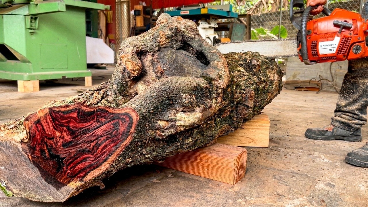 No One Expected the Stunning Beauty Hidden Inside This Ugly Log!