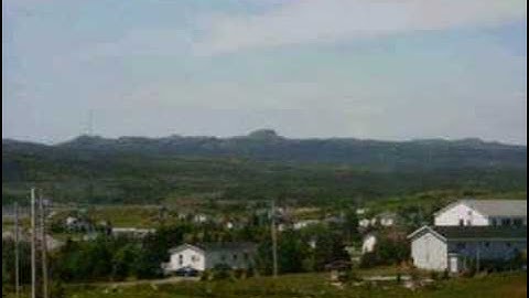 Newfoundland - Renews on the Irish Loop