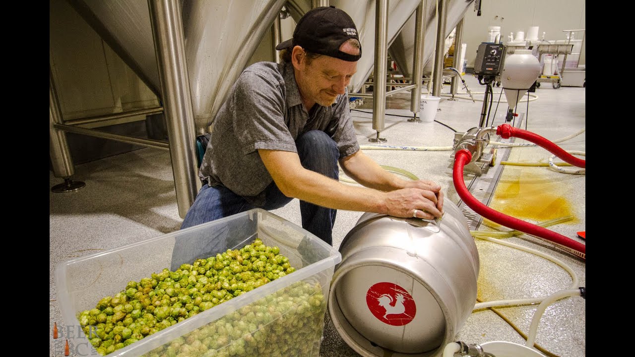 Fresh Hop Beer - Wet Hops From Farm To Brewery