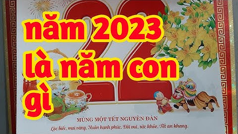 Tết năm 2023 là năm con gì năm 2024