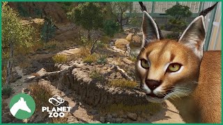 Caracal Indoor Habitat | Elm Hill City Zoo | Planet Zoo