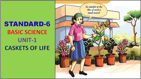 CLASS 6 | ENGLISH MEDIUM | BASIC SCIENCE | UNIT-1 | CASKETS OF LIFE