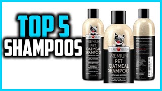 ✅ Top 5 Best Shampoos for Dogs With Allergies in 2024