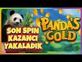 #EGT YENİ OYUNU ⭐️ PANDAS GOLD ⭐️ SON SPIN KAZANCI YAKALADIK! #keşfet
