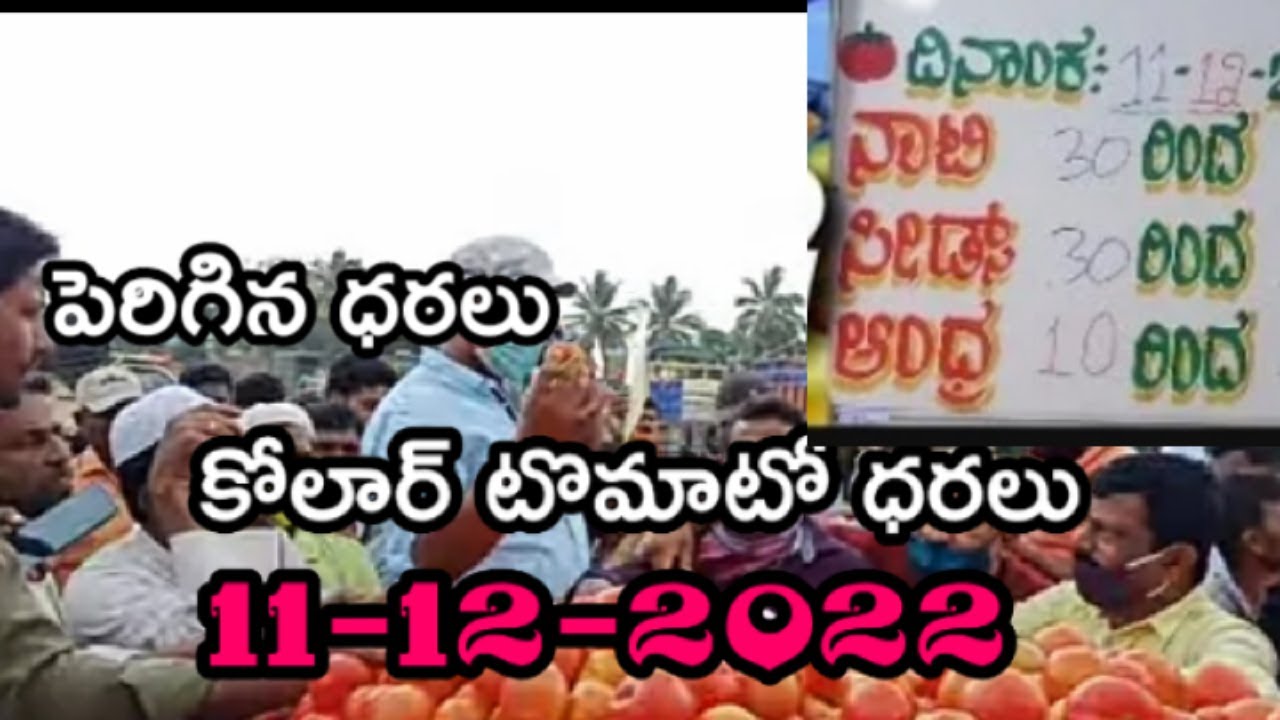 kolar tomato prices YouTube