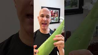 Aloe Vera for Digestive System  Dr. Mandell