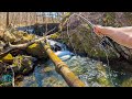 I fished an incredible creek and lost a big trout fly fishing