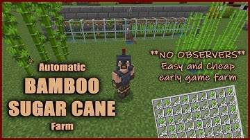Auto Bamboo or Sugar cane Farm *NO OBSERVERS* - Minecraft Bedrock